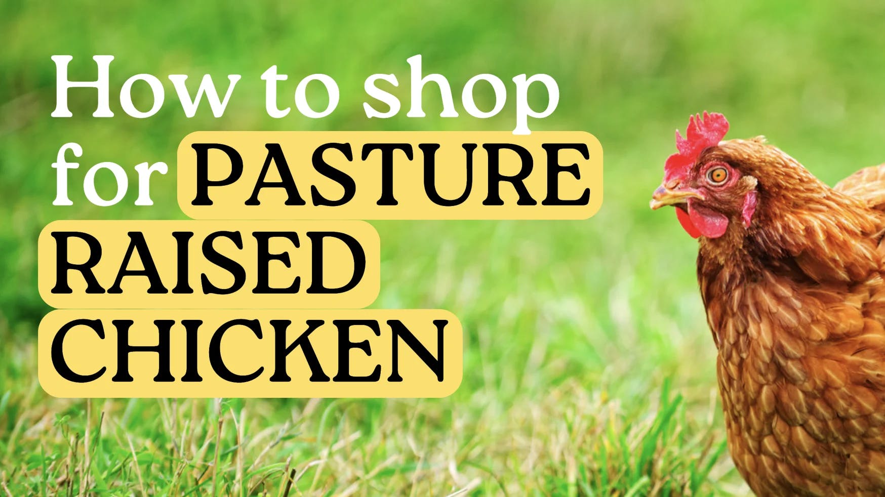 how to shop for pasture-raised chicken